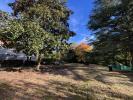 Annonce Vente 12 pièces Maison