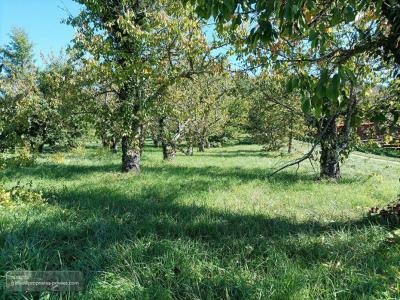 Vente Terrain SAINT-VINCENT-RIVE-D'OLT 46140