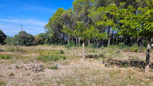 photo For sale Land VENDEMIAN 34