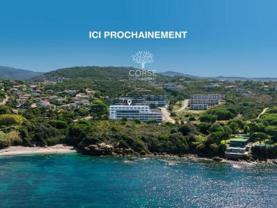 Vente Appartement 2 pièces PORTICCIO 20166