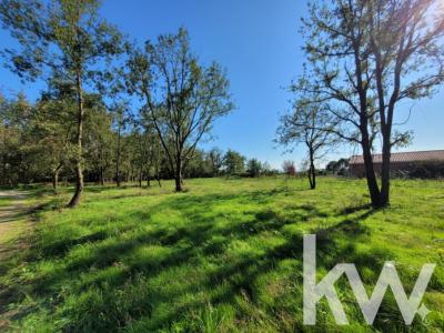 Vente Terrain LONGAGES 31410