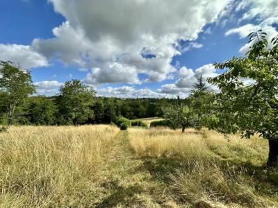 Vente Terrain VIGOULET-AUZIL 31320