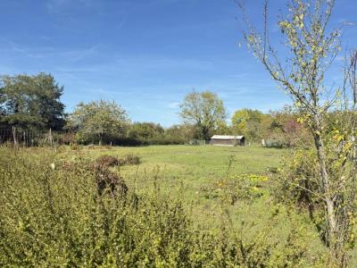 Vente Terrain FAY-AUX-LOGES  45