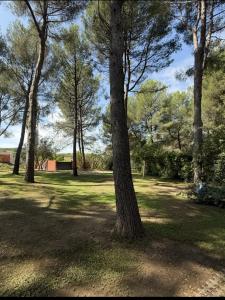 Vente Terrain VENTABREN 13122