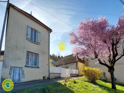 Vente Maison 5 pièces RAVIERES 89390
