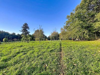 Vente Maison AMBAZAC 