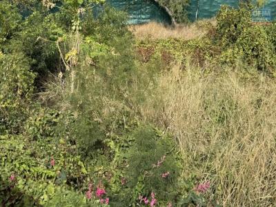 Vente Terrain SALINE-DES-BAINS  974