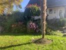 Acheter Maison 164 m2 Wittisheim