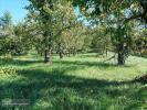Vente Terrain Saint-vincent-rive-d'olt 46140 1628 m2