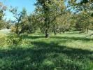 Annonce Vente Terrain Saint-vincent-rive-d'olt