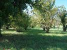 Acheter Terrain Saint-vincent-rive-d'olt 39000 euros