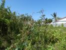 Annonce Vente Terrain Saint-benoit