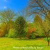Vente Terrain Teste-de-buch 33