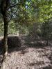 Annonce Vente Terrain