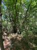 Acheter Terrain