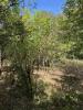 Acheter Terrain Herault