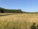 Annonce Vente Terrain Castelfranc