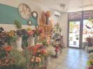 Vente Local commercial Saint-chinian 34
