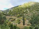 Annonce Vente 4 pièces Maison Roquebrun