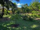 Annonce Vente Terrain Remire-montjoly
