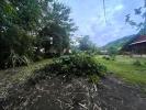 Acheter Terrain 1262 m2 Remire-montjoly