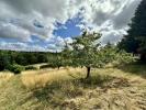 Annonce Vente Terrain Vigoulet-auzil
