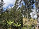 Vente Terrain Trois-bassins 974