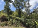 Annonce Vente Terrain Trois-bassins