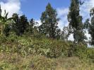 Acheter Terrain Trois-bassins