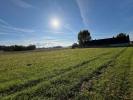 House CHAPELLE-SUR-LOIRE 