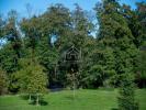 For sale Apartment Divonne-les-bains 01220 55 m2 2 rooms
