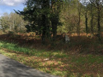 photo For sale Land HERM 40