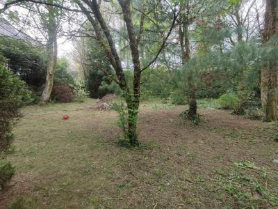 Vente Terrain PONTIVY 56300