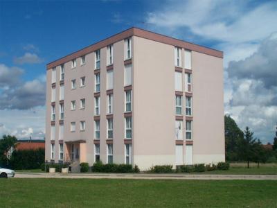 photo For rent Apartment IS-SUR-TILLE 21
