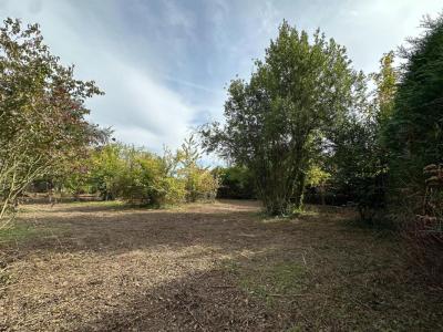 Vente Terrain LEVES 28300