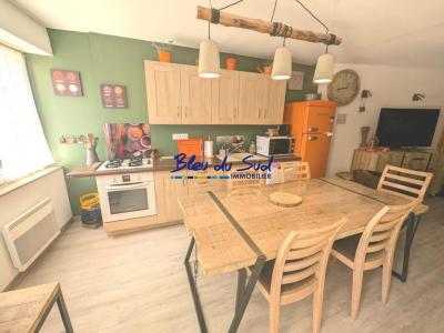 Vente Maison FILLOLS 