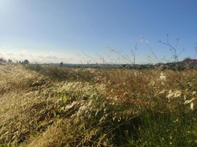 photo For sale Land SABLET 84