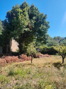 For sale House ORANGE 