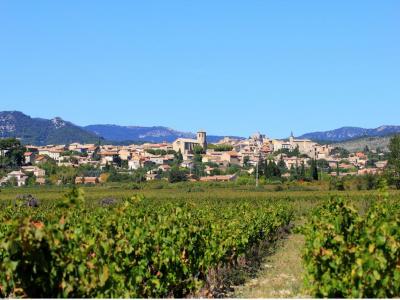 Vente Maison CAROMB 84330