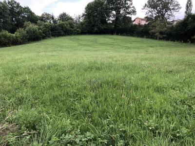 Vente Terrain BEGOLE MOULADOUS 65