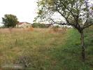 Vente Terrain Calamane 46