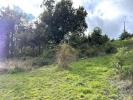 Annonce Vente Terrain Bourg-argental