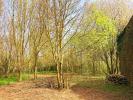 Annonce Vente Terrain Lucs-sur-boulogne