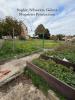 Annonce Vente 6 pièces Maison Saint-aubin-la-plaine