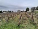 Annonce Vente Terrain Vacqueyras