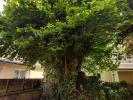 Acheter Maison Saint-georges-du-bois 145000 euros