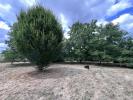 Acheter Maison 99 m2 Saint-gaudens