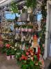 Acheter Commerce Toulouse Haute garonne
