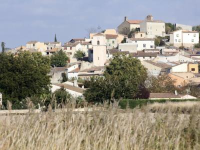 Vente Appartement VILLELAURE 