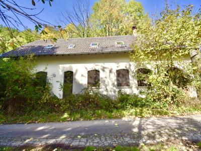 Vente Maison LALAYE  67